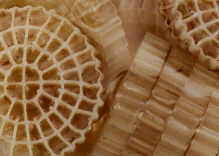 陸上水産養殖 特殊公式 BIO ボール フィルターメディア MBBR RAS