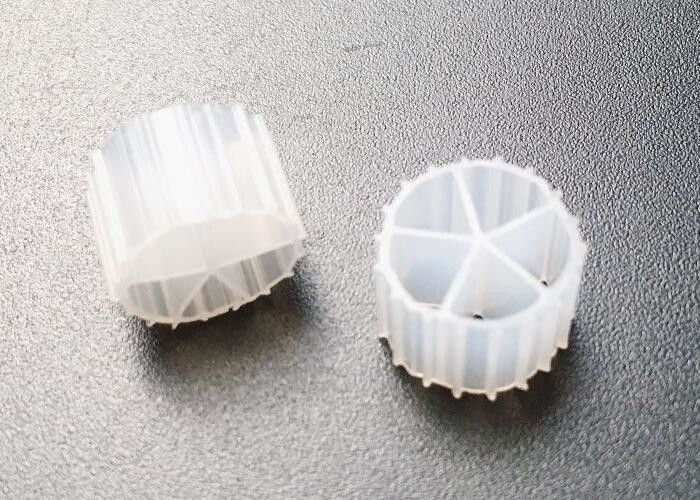 スモールボス MBBRフィルターメディア 20年 RAS の長寿